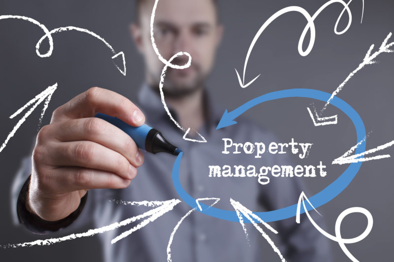 drawing | Self-Management vs Property Management