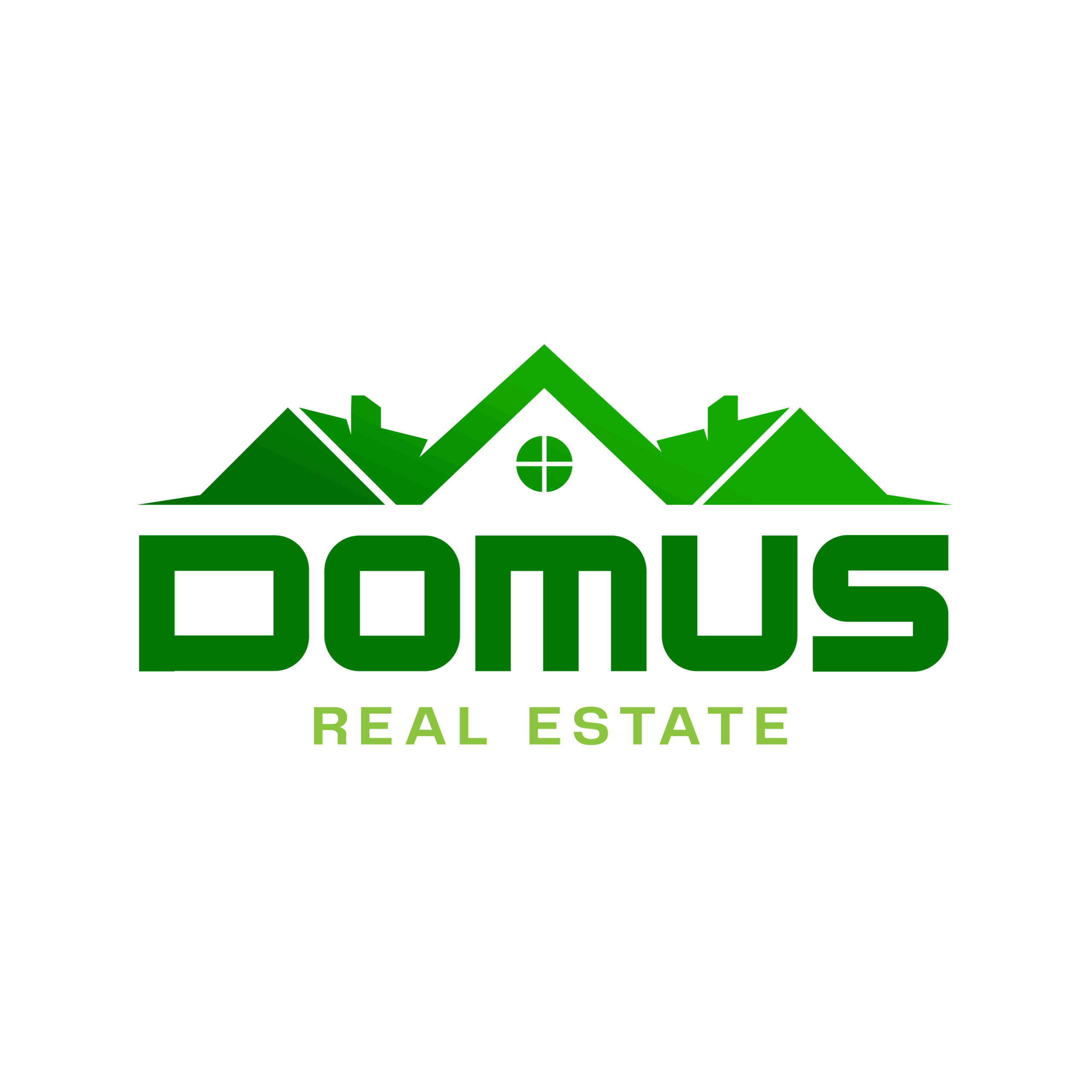 Domus Real Estate LLC